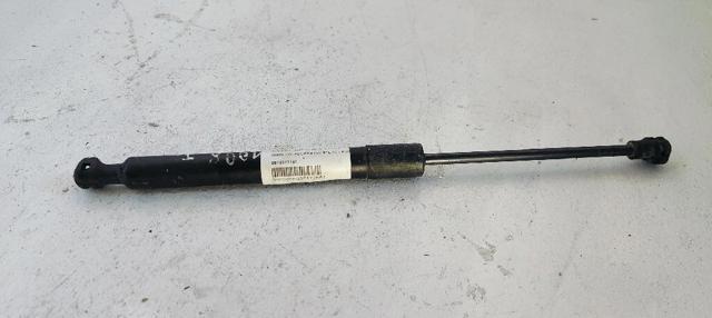9678317180 Peugeot/Citroen