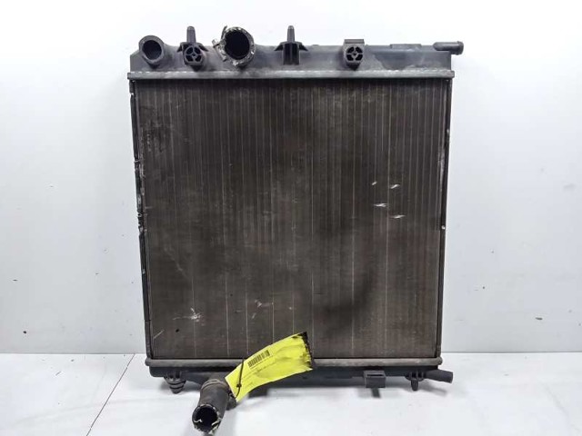 9680115580 Peugeot/Citroen