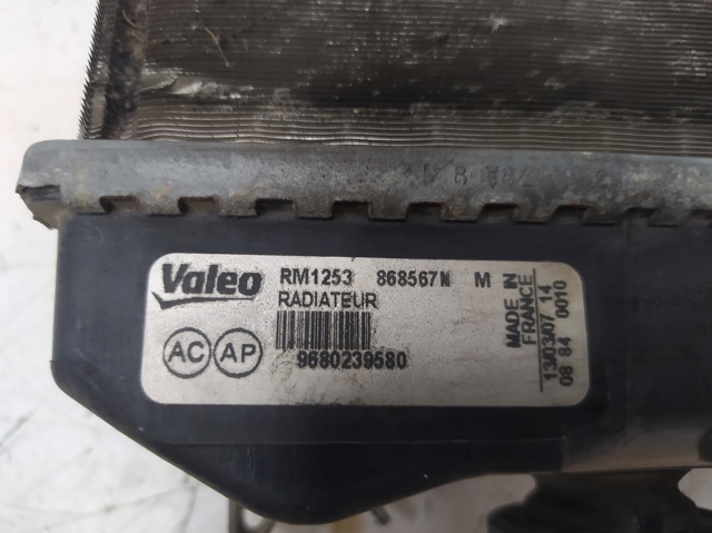 9680239580 Peugeot/Citroen