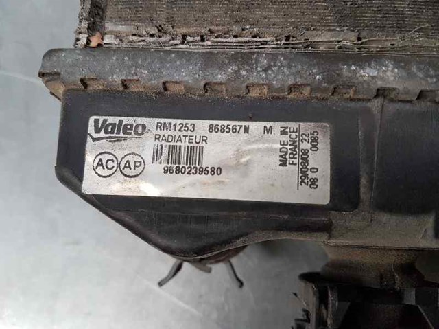 9680239580 Peugeot/Citroen