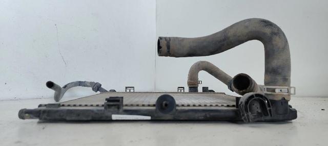 9680239580 Peugeot/Citroen