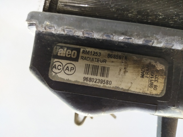 9680239580 Peugeot/Citroen