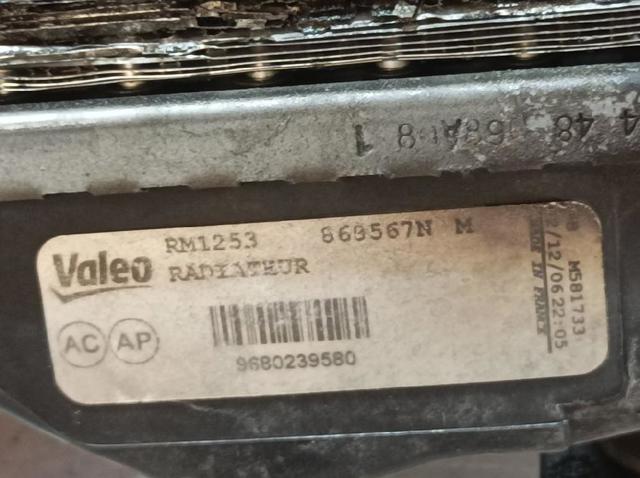 9680239580 Peugeot/Citroen