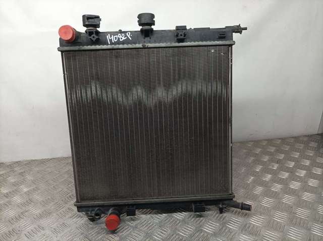 9680239580 Peugeot/Citroen