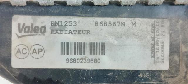 9680239580 Peugeot/Citroen