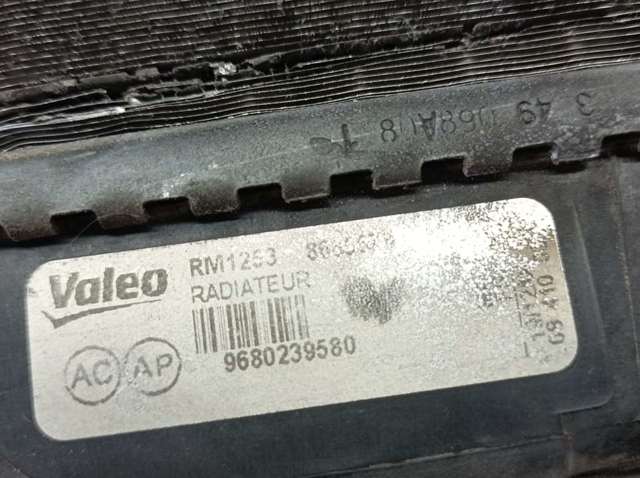 9680239580 Peugeot/Citroen