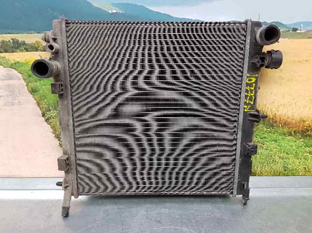 9680239580 Peugeot/Citroen