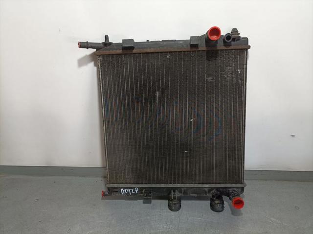 9680239580 Peugeot/Citroen