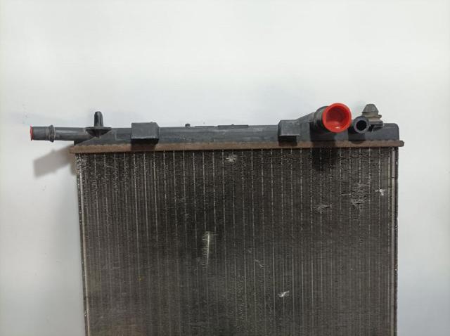 9680239580 Peugeot/Citroen