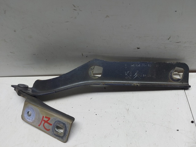 9680631480 Peugeot/Citroen