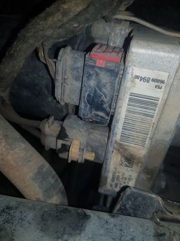 9680989480 Peugeot/Citroen