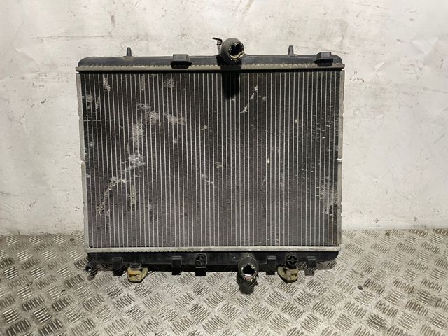 9681231580 Peugeot/Citroen