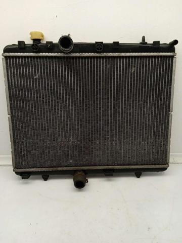 9681231580 Peugeot/Citroen