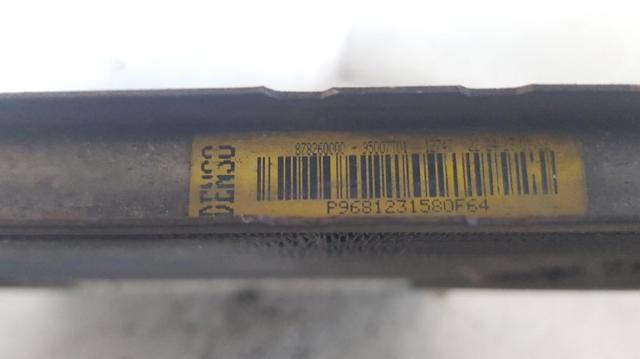 9681231580 Peugeot/Citroen