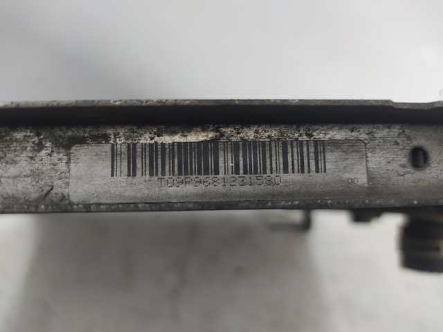 9681231580 Peugeot/Citroen