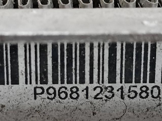 9681231580 Peugeot/Citroen