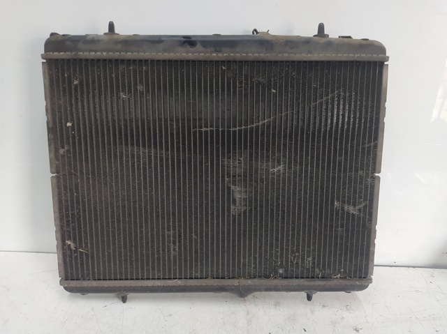 9681231580 Peugeot/Citroen