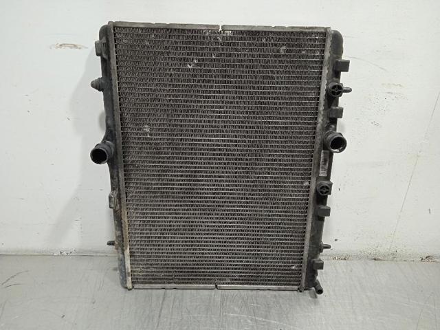 9681231580 Peugeot/Citroen