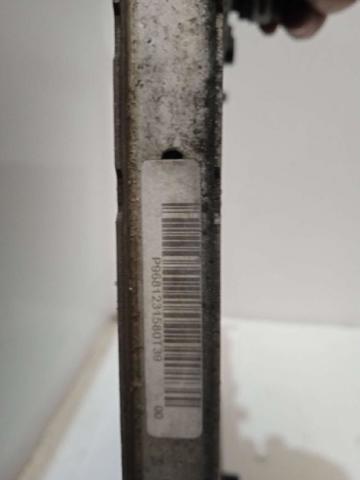 9681231580 Peugeot/Citroen