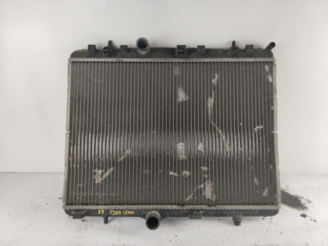 9681231580 Peugeot/Citroen