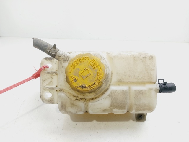 Zbiorniczek wyrównawczy układu chłodzenia 96815542 GM