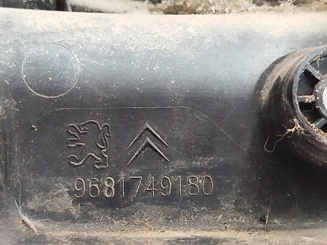 9681749180 Peugeot/Citroen