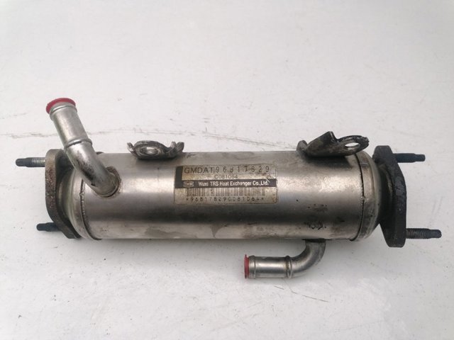 96817829 Peugeot/Citroen