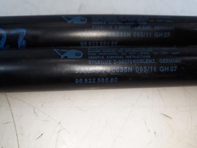 9682256580 Peugeot/Citroen