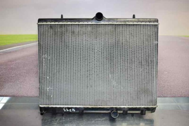 9682477580 Peugeot/Citroen