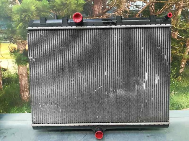 9682477580 Peugeot/Citroen