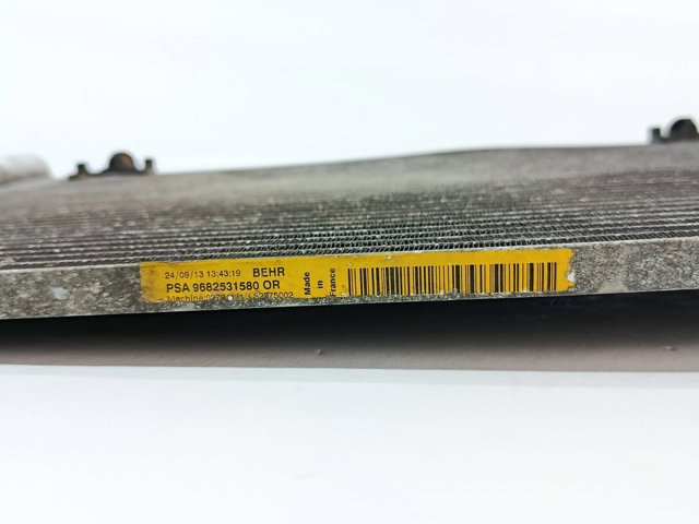 9682531580 Peugeot/Citroen