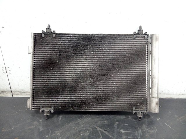9682531680OR Peugeot/Citroen