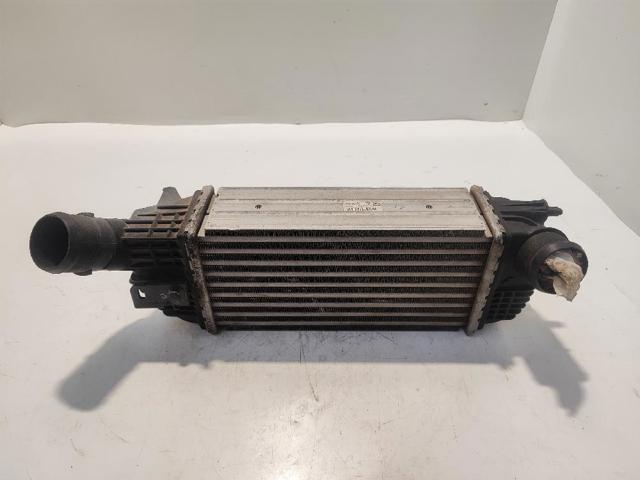 9683009680 Peugeot/Citroen