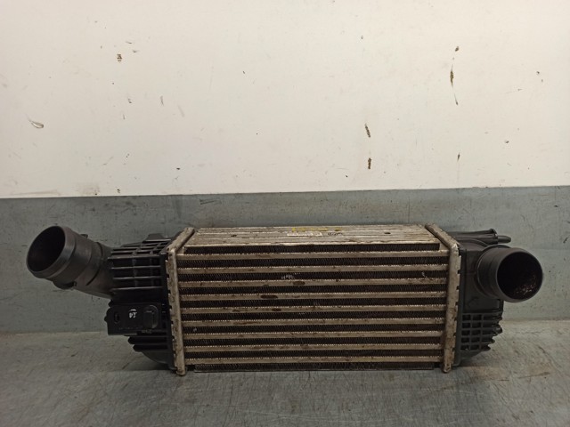 9683009680 Peugeot/Citroen