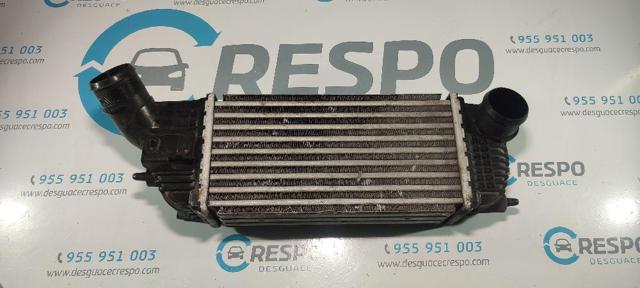 9683009680 Peugeot/Citroen