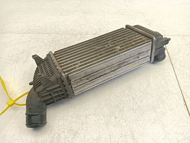9683009680 Peugeot/Citroen