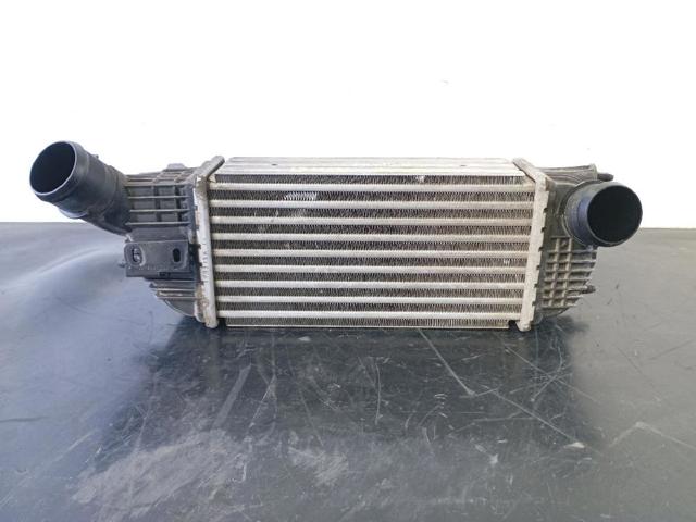 9683009680 Peugeot/Citroen