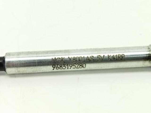 9683195280 Peugeot/Citroen