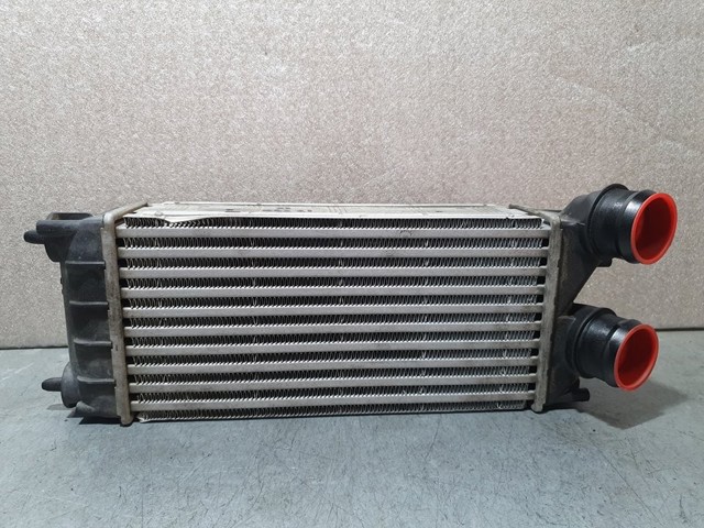 9684212480 Peugeot/Citroen