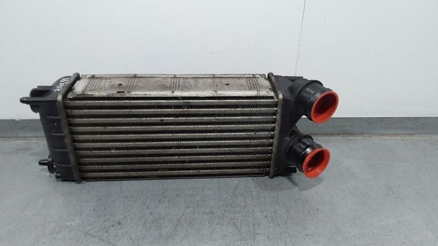 9684212480 Peugeot/Citroen