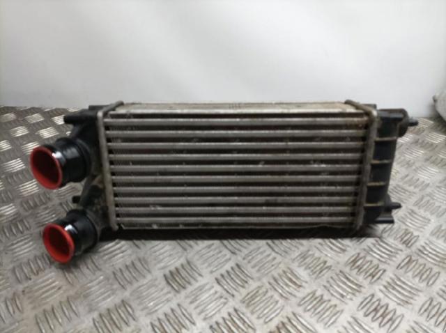 9684212480 Peugeot/Citroen