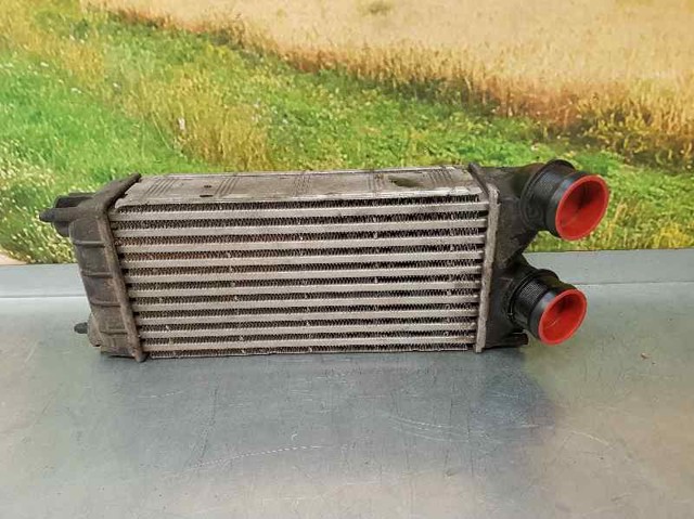 9684212480 Peugeot/Citroen