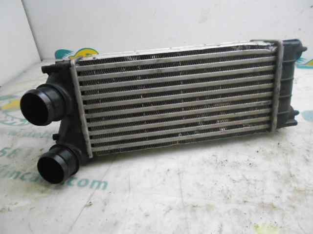 9684212480 Peugeot/Citroen