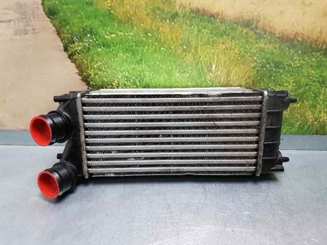 9684212480 Peugeot/Citroen