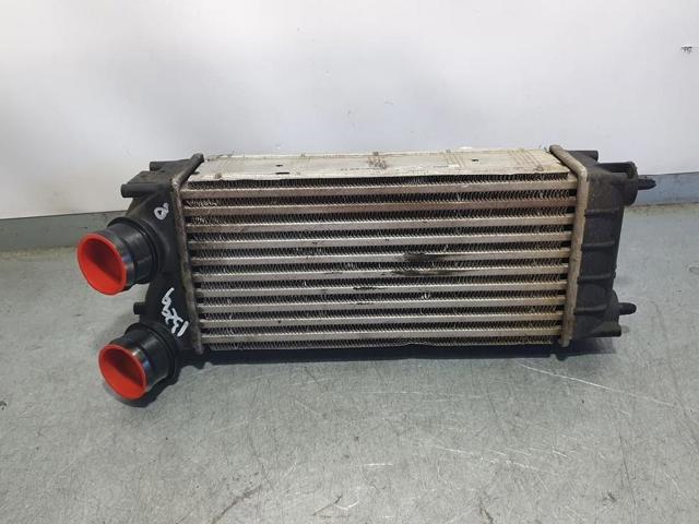 9684212480 Peugeot/Citroen