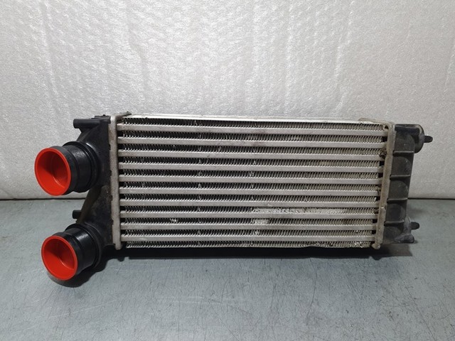 9684212480 Peugeot/Citroen