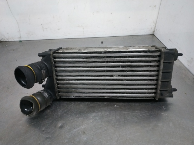 9684212480 Peugeot/Citroen