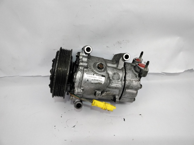 9684480480 Peugeot/Citroen