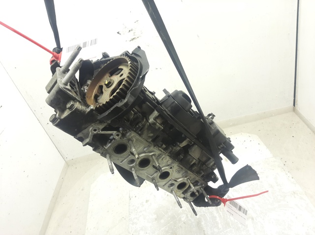 Głowica cylindrów 9684487210 FORD