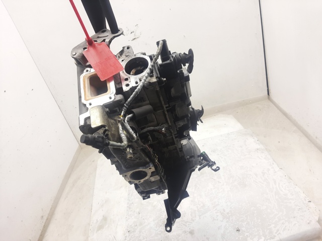 Głowica cylindrów 9684487210 PEUGEOT